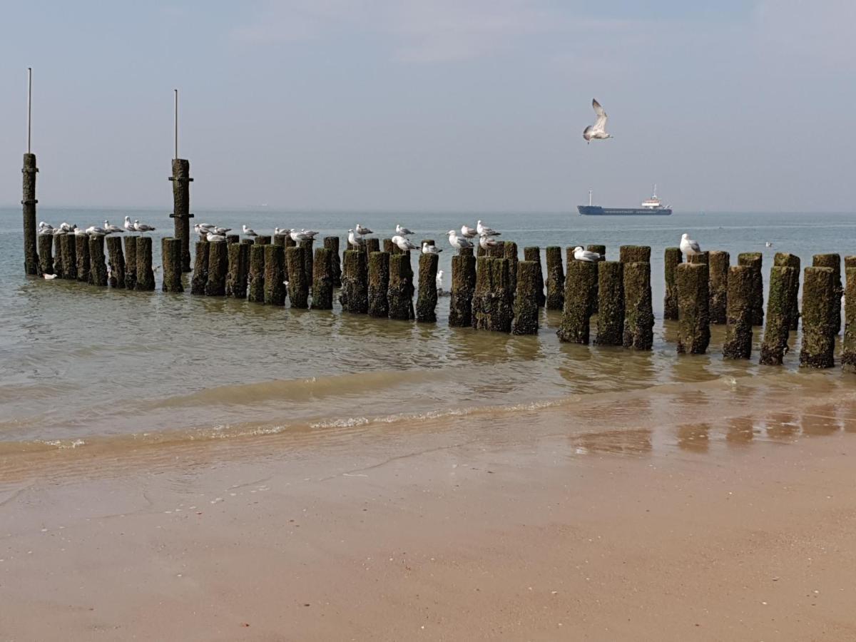 Havenzicht, Gelegen Aan Zee Met Zeezicht Vlissingen