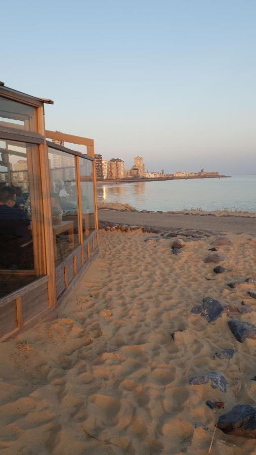 Appartement Havenzicht, Gelegen Aan Zee Met Zeezicht *
